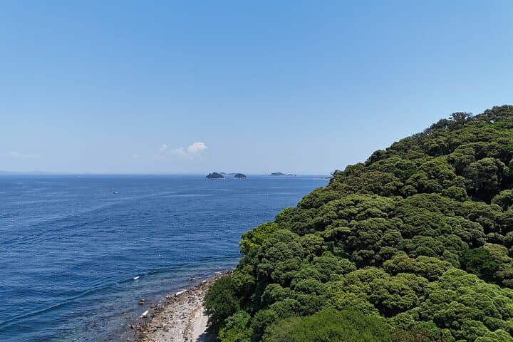 Private Cruise to Ieshima Island with Lunch Included — photo 11