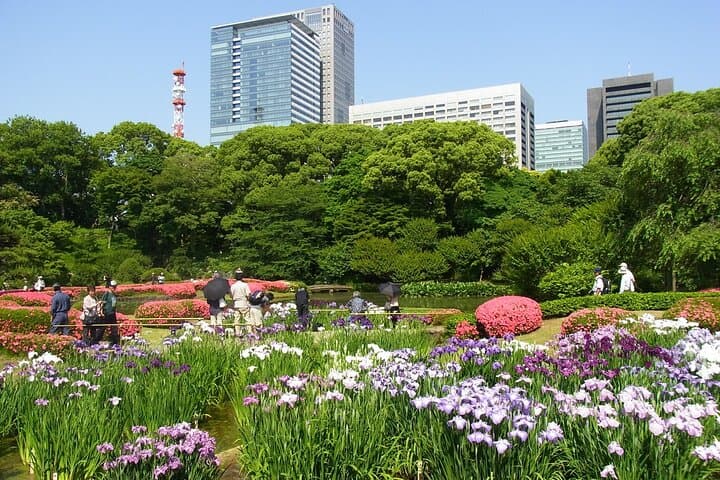 Tokyo Skytree, Asakusa, and Imperial Palace 1/2-Day Private Tour — photo 12