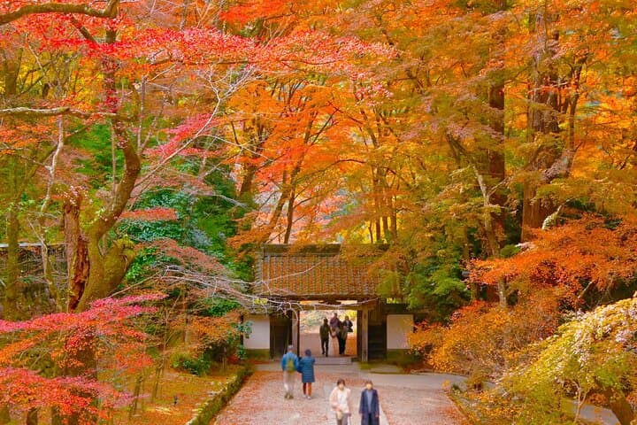 From Nagoya: Discover Aichi — Korankei, Miso, & Inari Shrine — photo 13