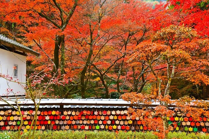 From Nagoya: Discover Aichi — Korankei, Miso, & Inari Shrine — photo 8