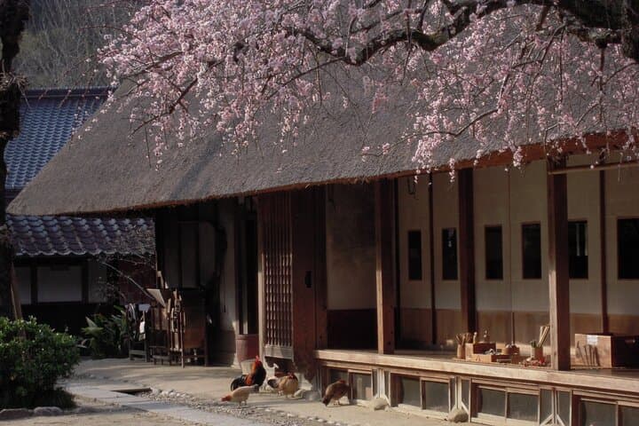 From Nagoya: Discover Aichi — Korankei, Miso, & Inari Shrine — photo 10