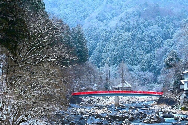 From Nagoya: Discover Aichi — Korankei, Miso, & Inari Shrine — photo 17