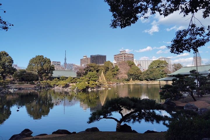 Edo Garden and Museum Tour through Tokyo Past — photo 19