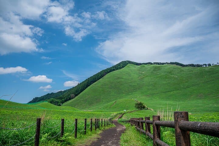 Private Tour From Nagoya: Akame 48 Falls & Soni Highlands Hike — photo 3