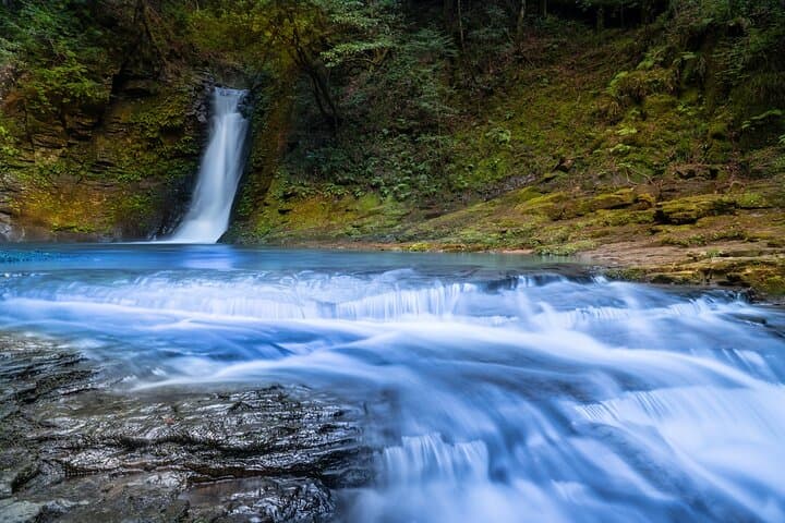 Private Tour From Nagoya: Akame 48 Falls & Soni Highlands Hike — photo 6