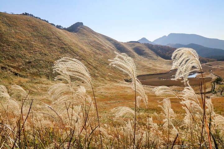 Private Tour From Nagoya: Akame 48 Falls & Soni Highlands Hike — photo 7