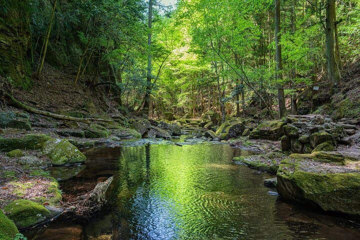 Private Tour From Nagoya: Akame 48 Falls & Soni Highlands Hike — photo 8