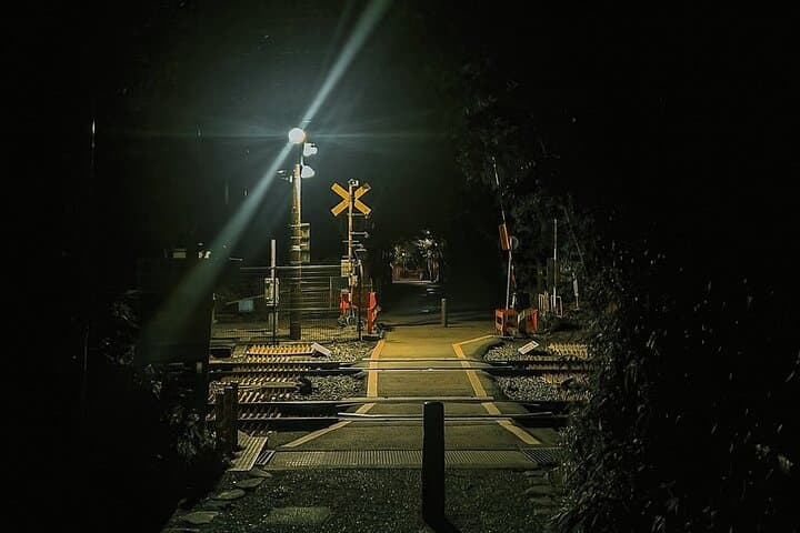 Kyoto Ghost Tour: Dark Tales, Urban Legends, Bamboo Forest Night — photo 2