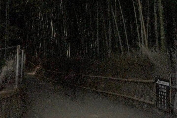 Kyoto Ghost Tour: Dark Tales, Urban Legends, Bamboo Forest Night — photo 5