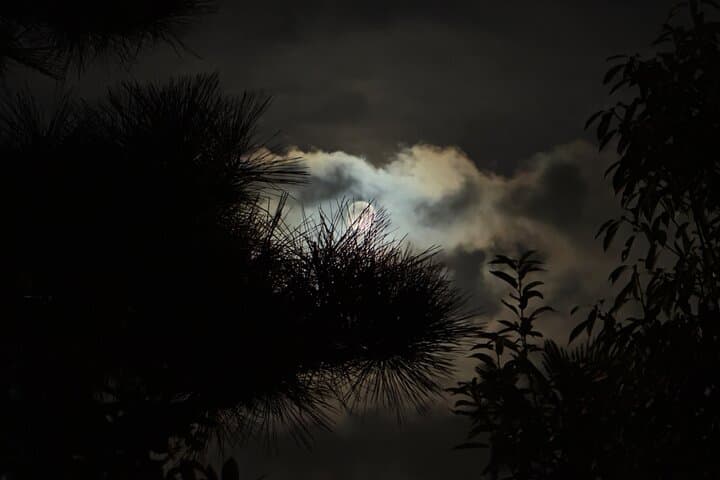 Kyoto Ghost Tour: Dark Tales, Urban Legends, Bamboo Forest Night — photo 8