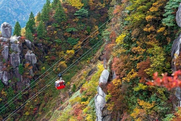 Yoro Falls and Mt. Gozaisho Scenic Ropeway from Nagoya — photo 7