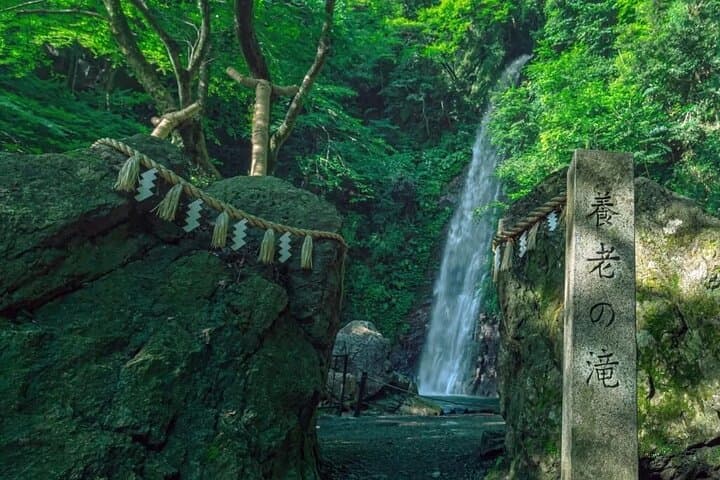Yoro Falls and Mt. Gozaisho Scenic Ropeway from Nagoya — photo 3