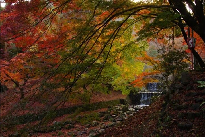 Yoro Falls and Mt. Gozaisho Scenic Ropeway from Nagoya — photo 10