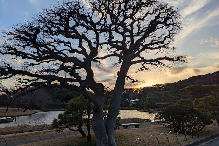 Guided History & Nature Exploration in the Yokohama Hill Area — photo 20