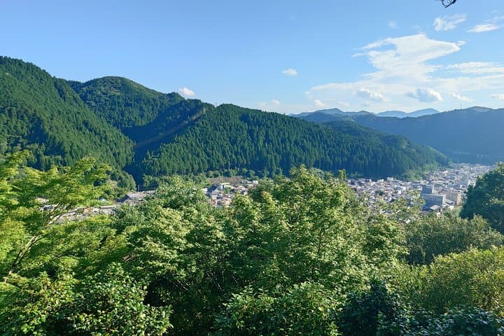 Full Day Tour Of Gujo Hachiman A Castle Town From Nagoya By Car — photo 9