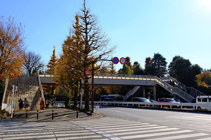 One Day Tour A Your Name Pilgrimage Across Tokyo — photo 17