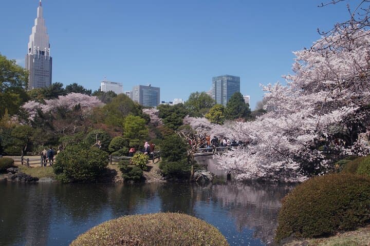 Conquer Tokyo's Best Cherry Blossom Viewing Spots in One Day — photo 15