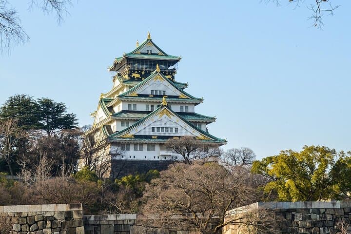 Osaka City Cherry Blossom Private Sightseeing Tour — photo 4