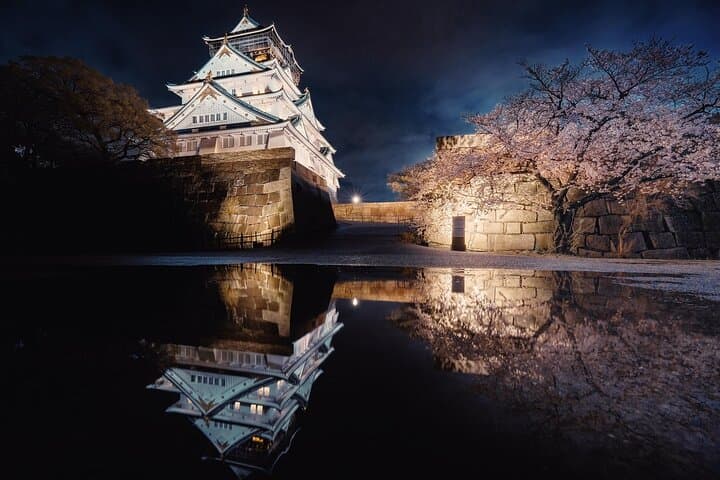 Osaka City Cherry Blossom Private Sightseeing Tour — photo 5