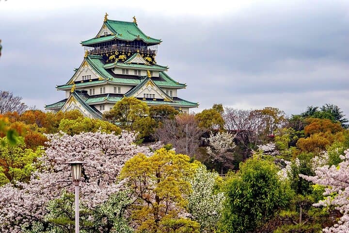 Osaka City Cherry Blossom Private Sightseeing Tour — photo 6