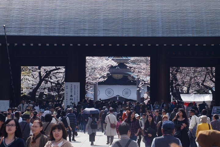 Conquer Tokyo's Best Cherry Blossom Viewing Spots in One Day — photo 20