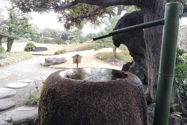Kyu-Yasuda, Kiyosumi and Hama-Rikyu Tokyo Garden Tour — photo 9