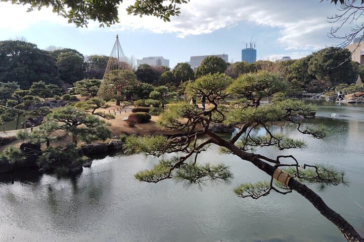 Kyu-Yasuda, Kiyosumi and Hama-Rikyu Tokyo Garden Tour — photo 7