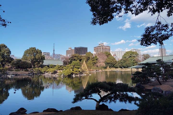 Kyu-Yasuda, Kiyosumi and Hama-Rikyu Tokyo Garden Tour — photo 5