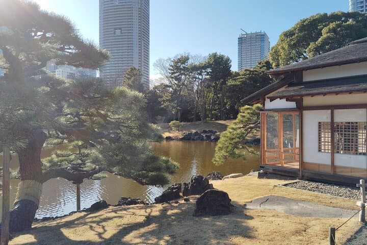 Kyu-Yasuda, Kiyosumi and Hama-Rikyu Tokyo Garden Tour — photo 18