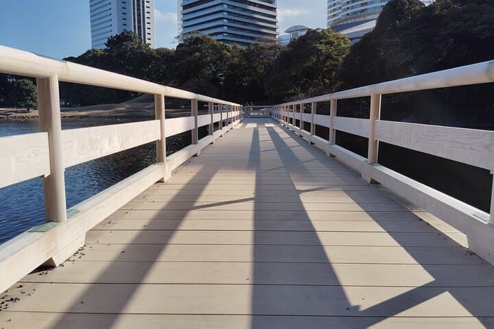Kyu-Yasuda, Kiyosumi and Hama-Rikyu Tokyo Garden Tour — photo 19