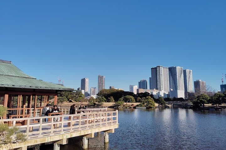 Kyu-Yasuda, Kiyosumi and Hama-Rikyu Tokyo Garden Tour — photo 3