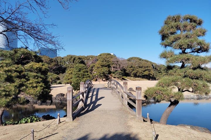 Kyu-Yasuda, Kiyosumi and Hama-Rikyu Tokyo Garden Tour — photo 20