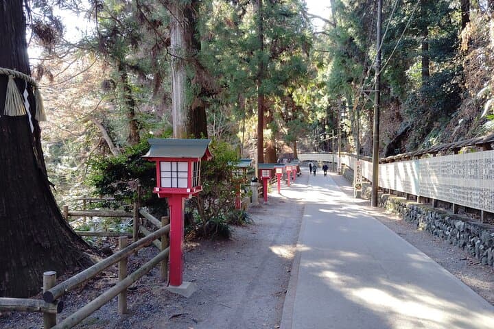 A Scenic Private Tour in Mount Takao Tokyo — photo 10