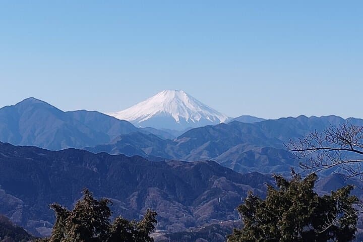A Scenic Private Tour in Mount Takao Tokyo — photo 16