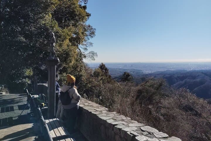 Guided Trip to Mount Takao Train Journey from Shinjuku — photo 5
