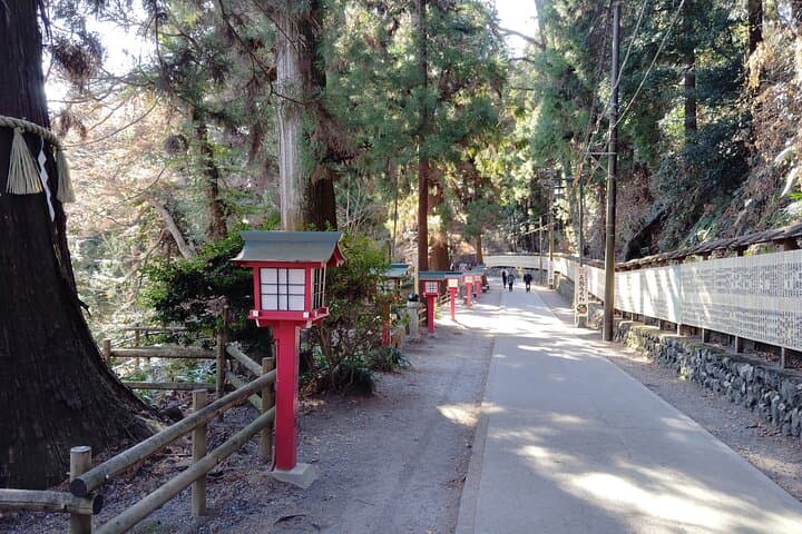 Guided Trip to Mount Takao Train Journey from Shinjuku — photo 8