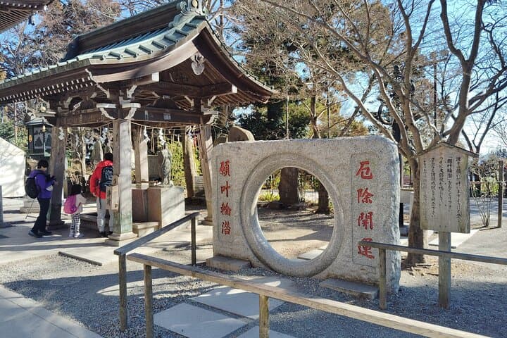 Guided Trip to Mount Takao Train Journey from Shinjuku — photo 11