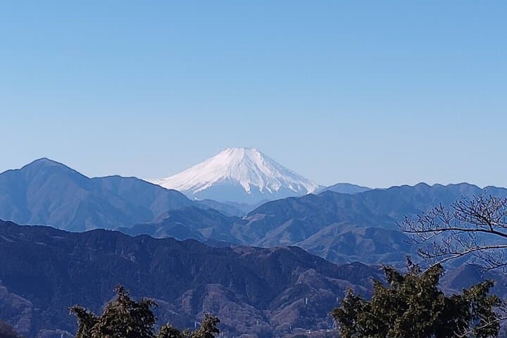 Guided Trip to Mount Takao Train Journey from Shinjuku — photo 14