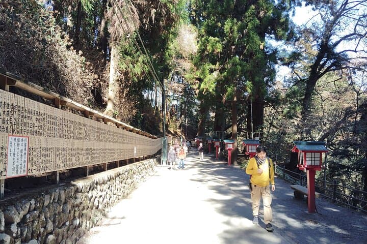 Guided Trip to Mount Takao Train Journey from Shinjuku — photo 16