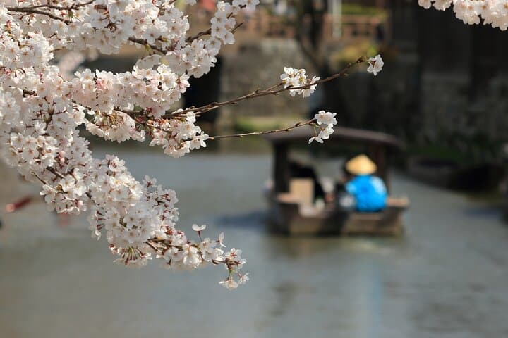 From Nagoya: Castles and Canals in Hikone and Omi Hachiman — photo 8