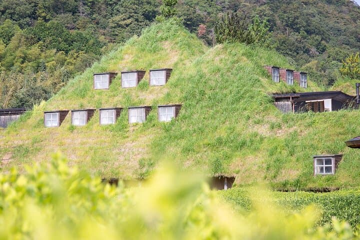 From Nagoya: Castles and Canals in Hikone and Omi Hachiman — photo 5