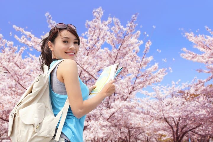 Tokyo Cherry Blossom Half Day Walking Tour with a Local Guide — photo 8