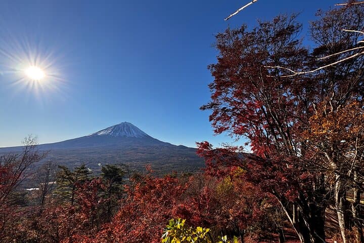 Mt Fuji Sunrise and Scenic Tour Private Journey to Experience — photo 2