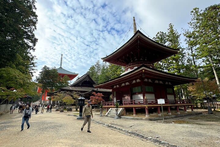Koyasan: Half-Day Guided Tour - Okuno-in, Kongobuji & Danjo Garan — photo 9