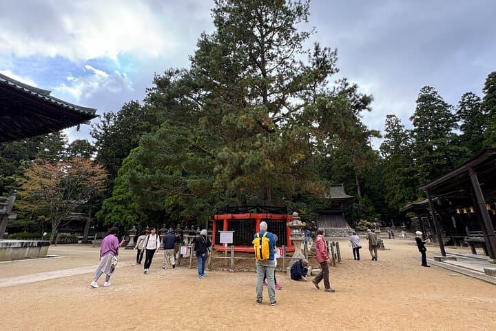 Koyasan: Half-Day Guided Tour - Okuno-in, Kongobuji & Danjo Garan — photo 17