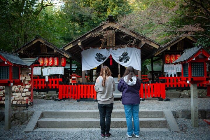 A Professional Guided Photoshoot in Arashiyama — photo 3