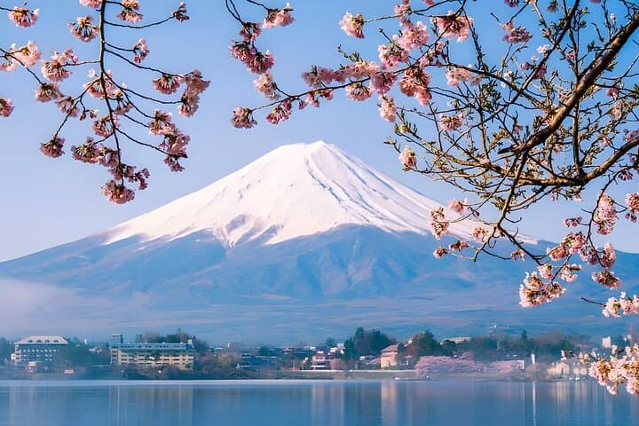 Tokyo Mt Fuji & Kawaguchiko Ropeway & Matcha Tea Group Trip — photo 1