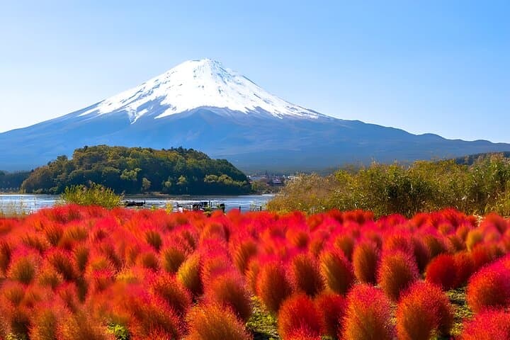 Tokyo Mt Fuji & Kawaguchiko Ropeway & Matcha Tea Group Trip — photo 6