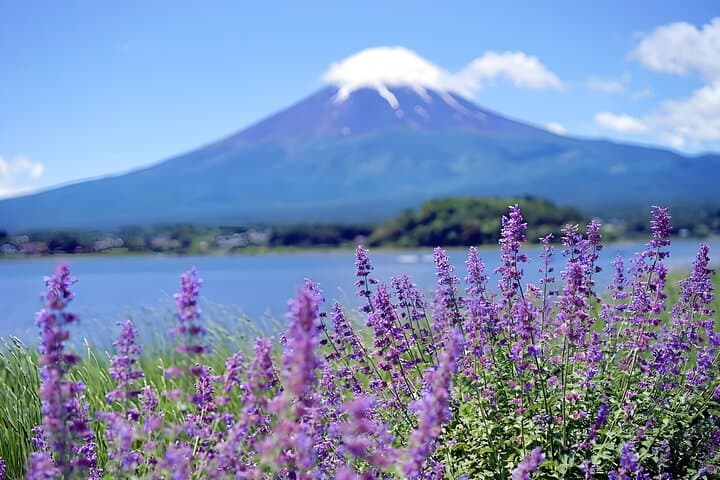 Tokyo Mt Fuji & Kawaguchiko Ropeway & Matcha Tea Group Trip — photo 7