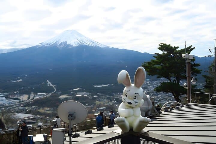 Tokyo Mt Fuji & Kawaguchiko Ropeway & Matcha Tea Group Trip — photo 9